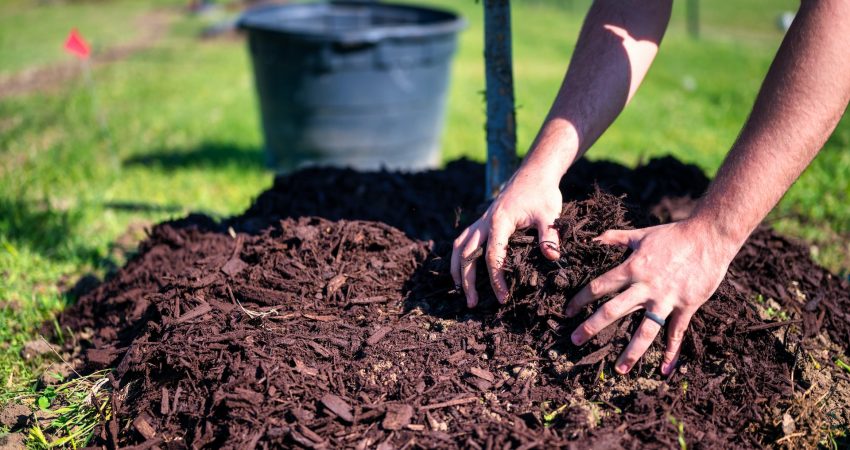 The Benefits of Mulch for Healthy and Vibrant Landscaping